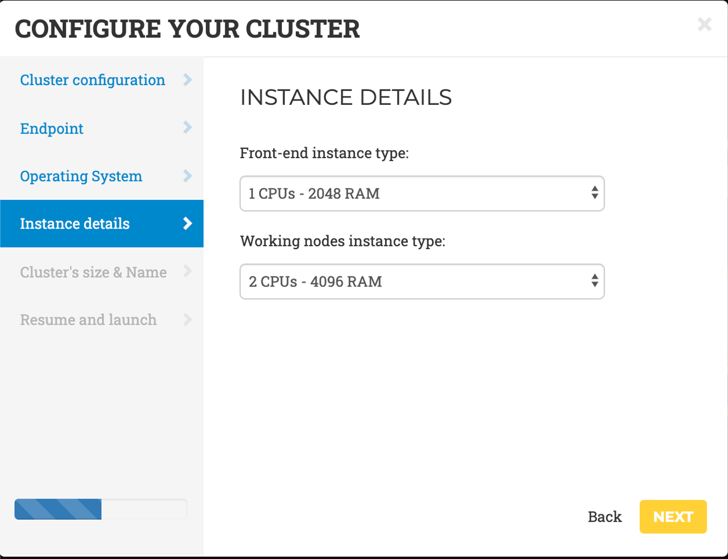 Instance details