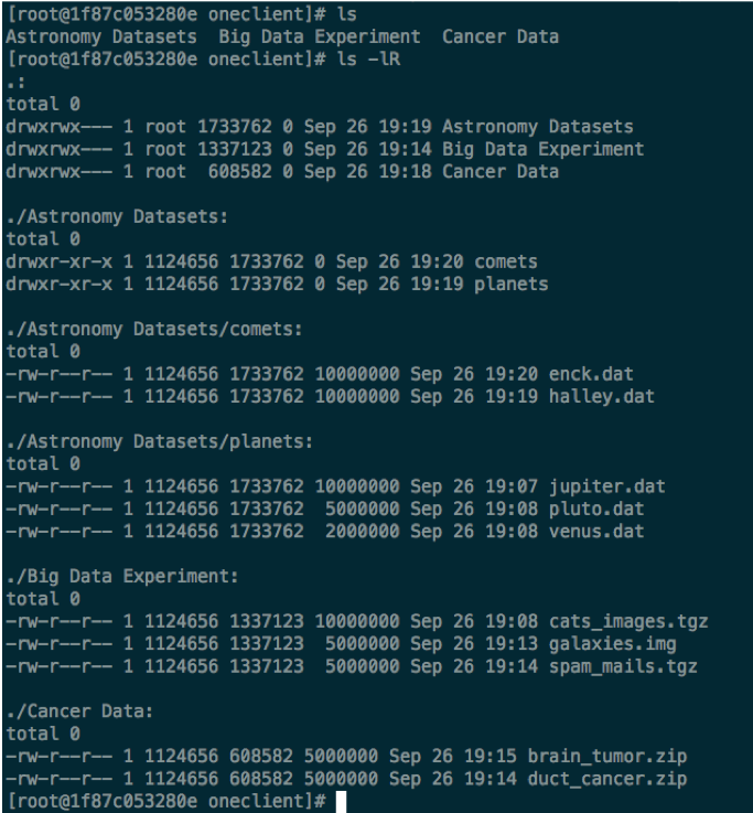 Viewing a data space in a console locally mounted using Oneclient