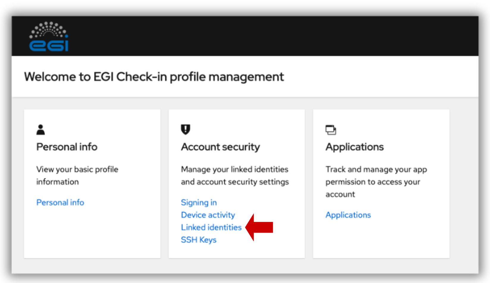 Check-in my identity