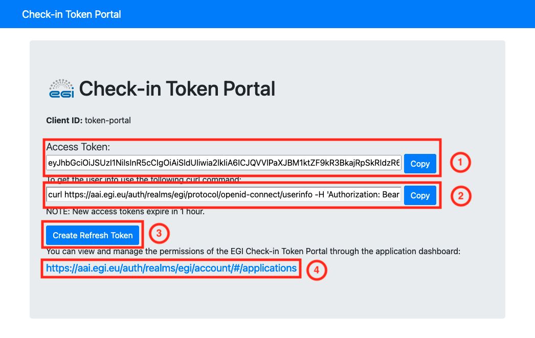 EGI Check-in Token Portal Access Token