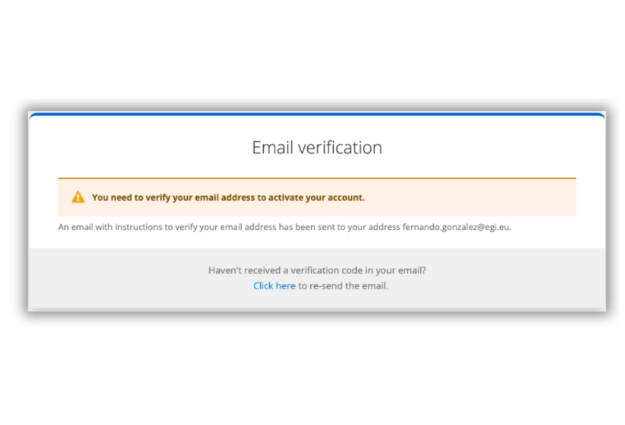 Check-in Email verification