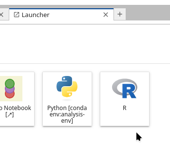 New environment in the launcher